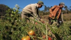 Campesinos cubanos responden a primer ministro